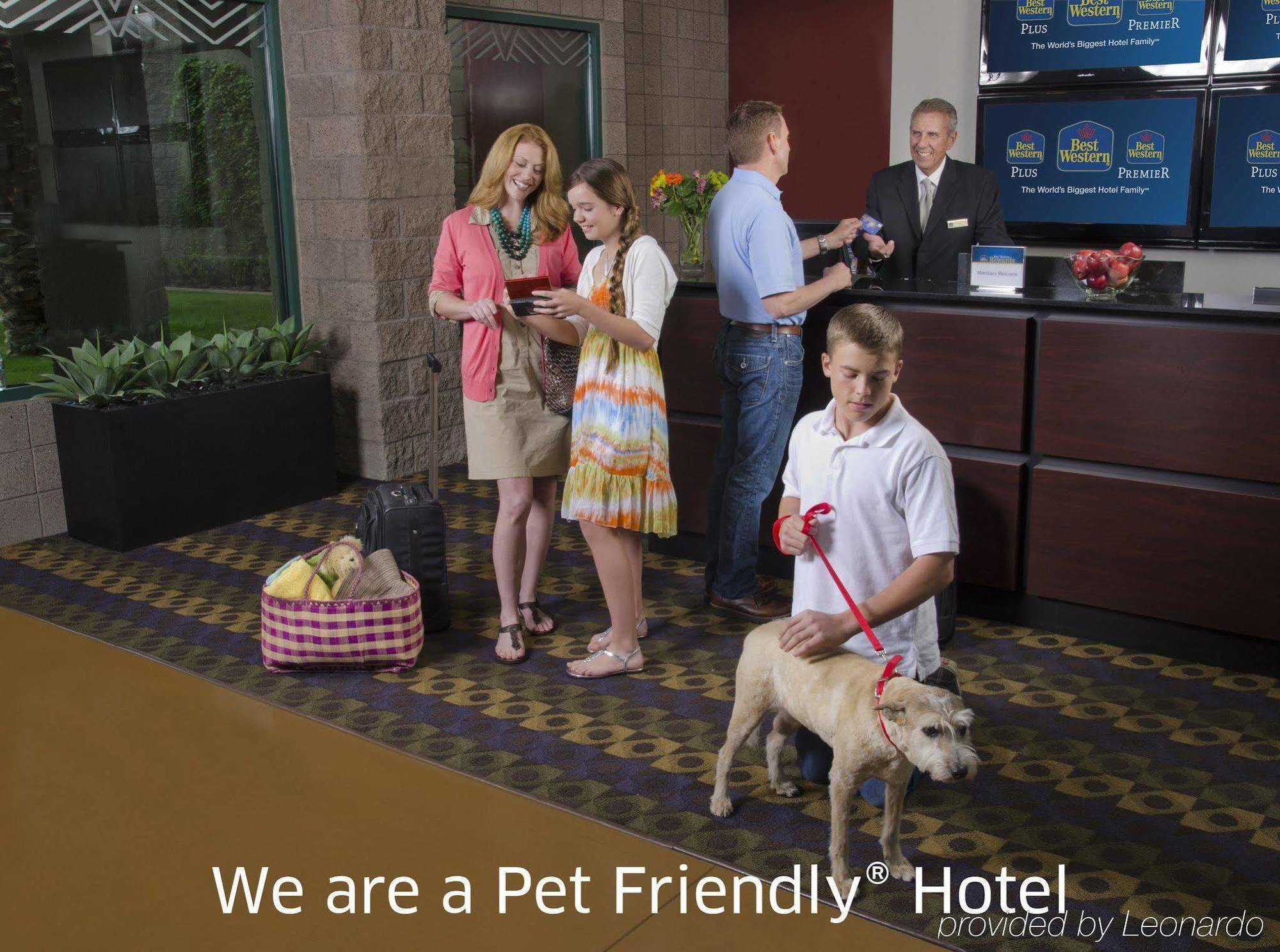 Best Western Plus Waltham Boston Bagian luar foto
